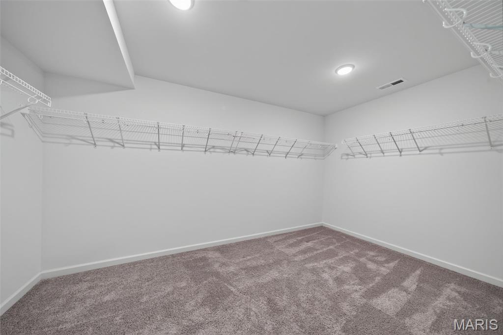 206 Knob Creek Court