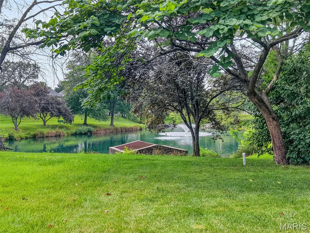 217 Country Hollow Court