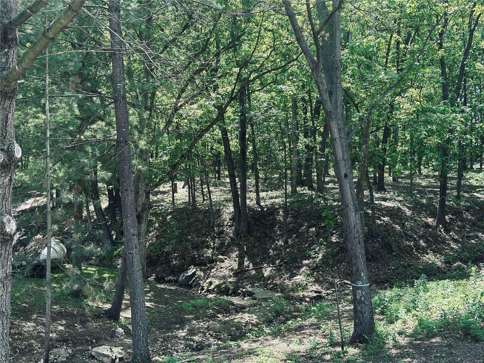 3099 County Road 148