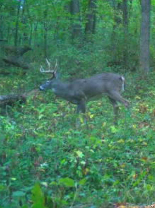 3099 County Road 148