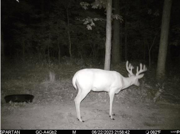 3099 County Road 148