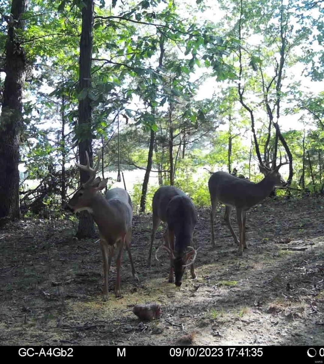 3099 County Road 148