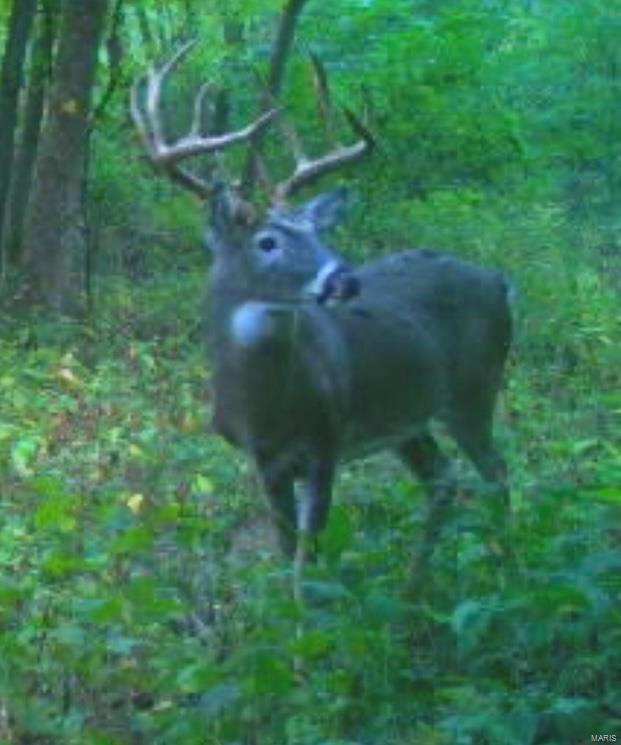 3099 County Road 148