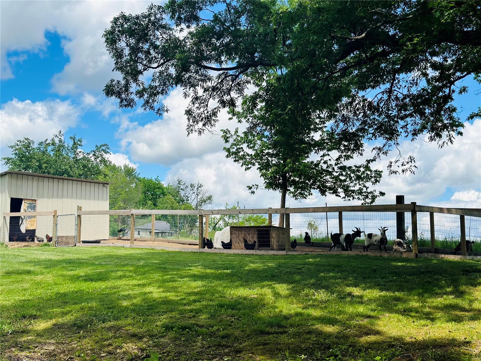 3099 County Road 148