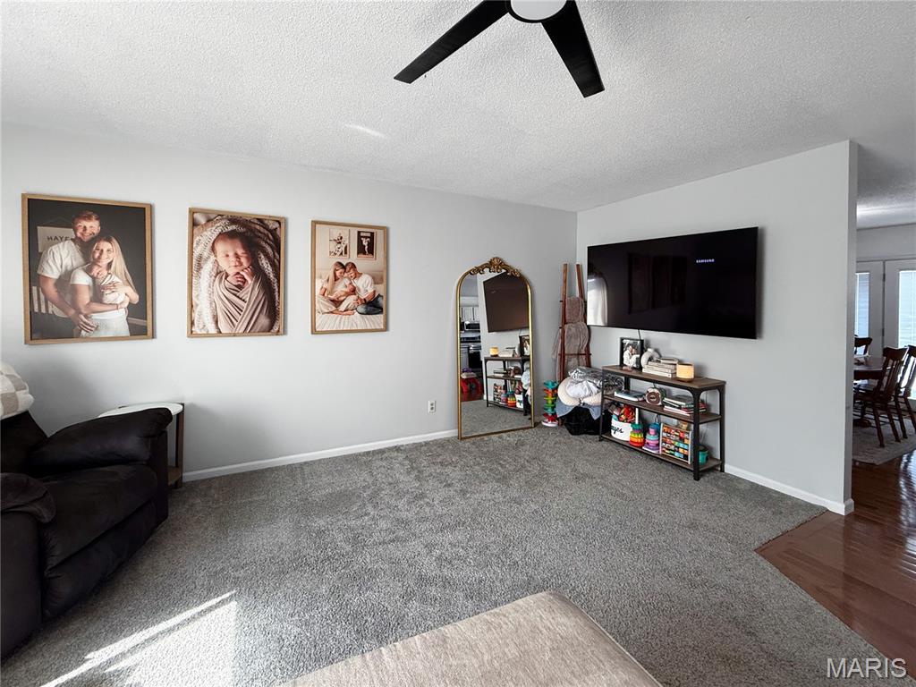 67 Meadows Rd