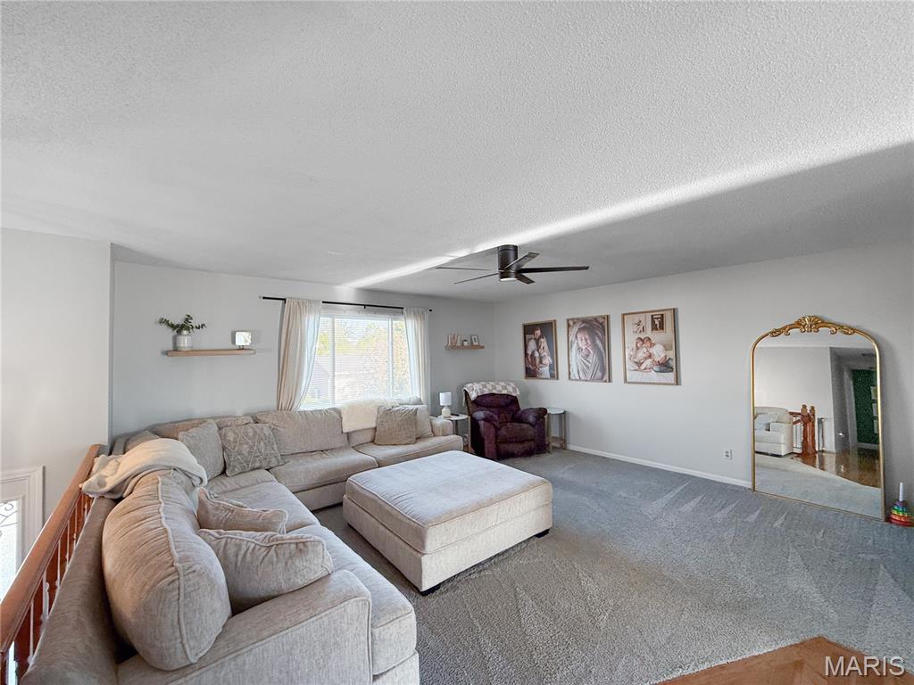 67 Meadows Rd