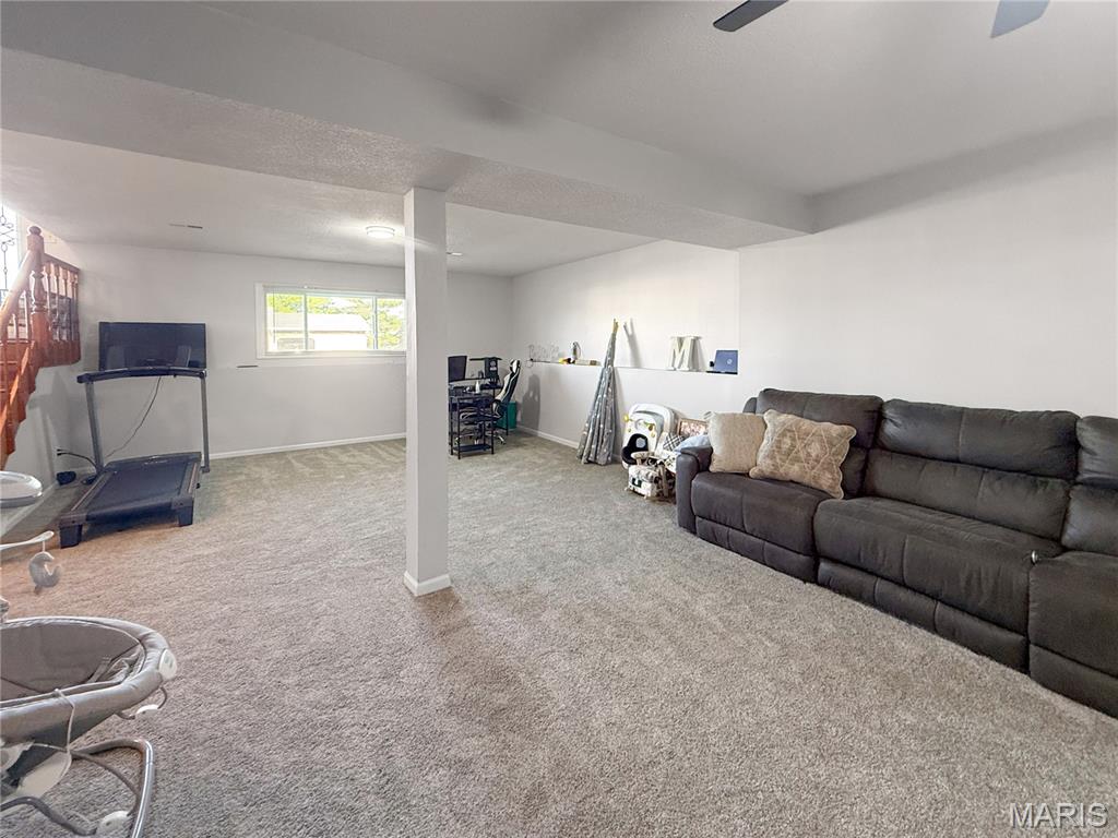 67 Meadows Rd