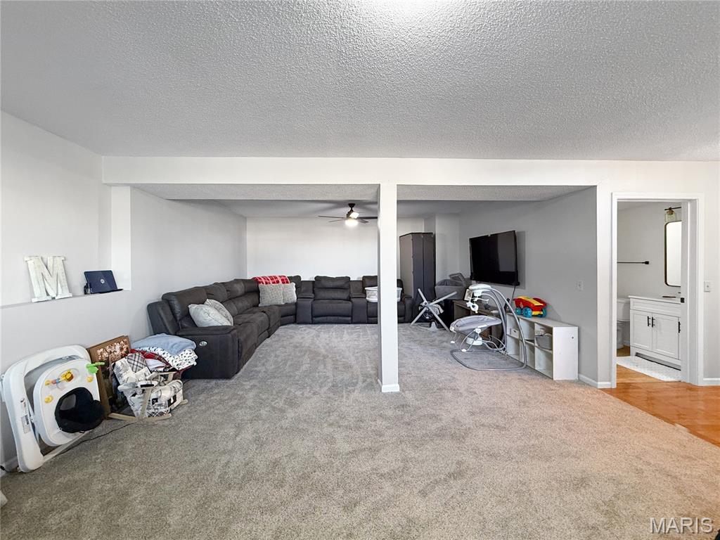 67 Meadows Rd