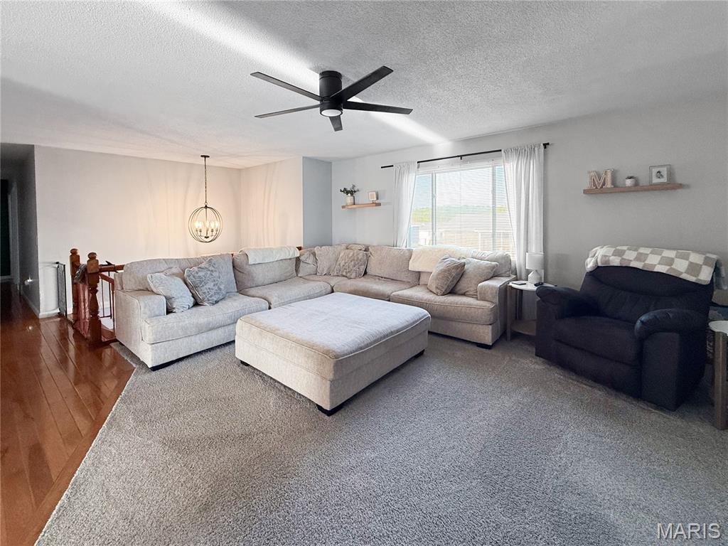 67 Meadows Rd