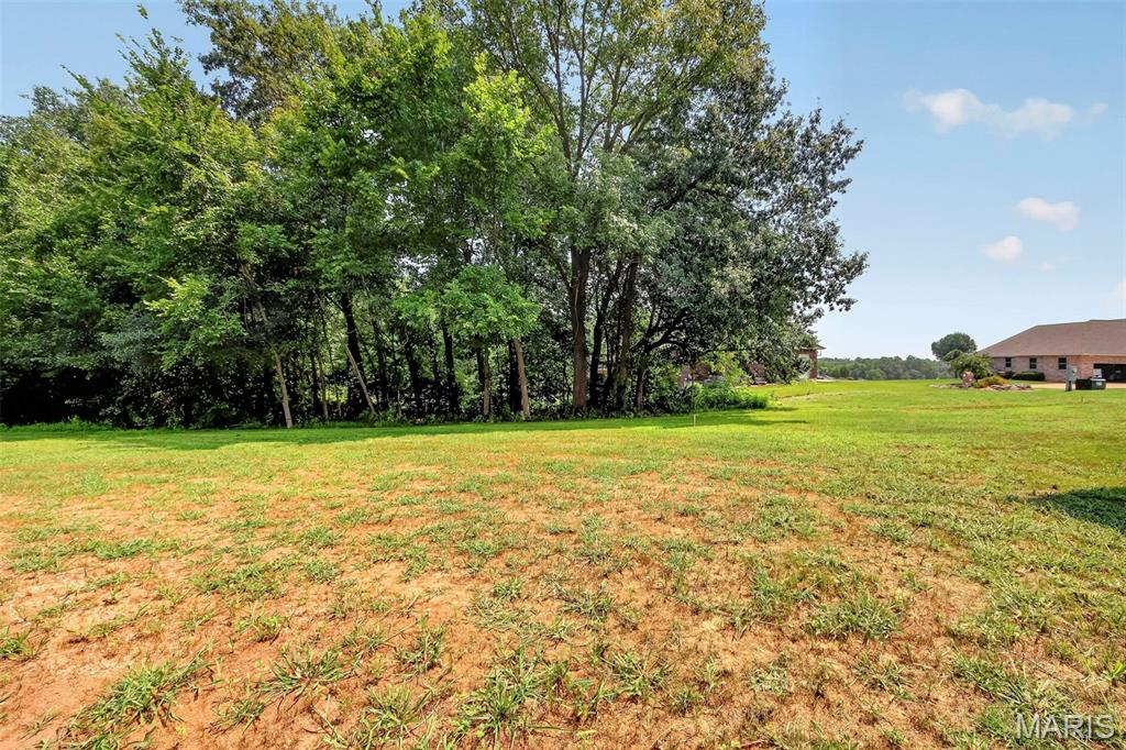 10116 Norwoods Ct