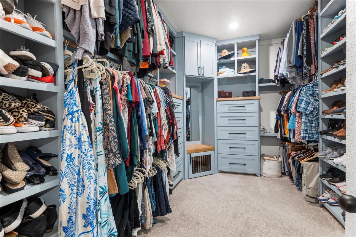 6401 Golden Bough LN, Pflugerville