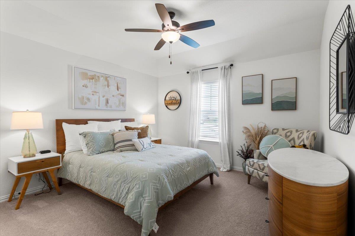 6401 Golden Bough LN, Pflugerville