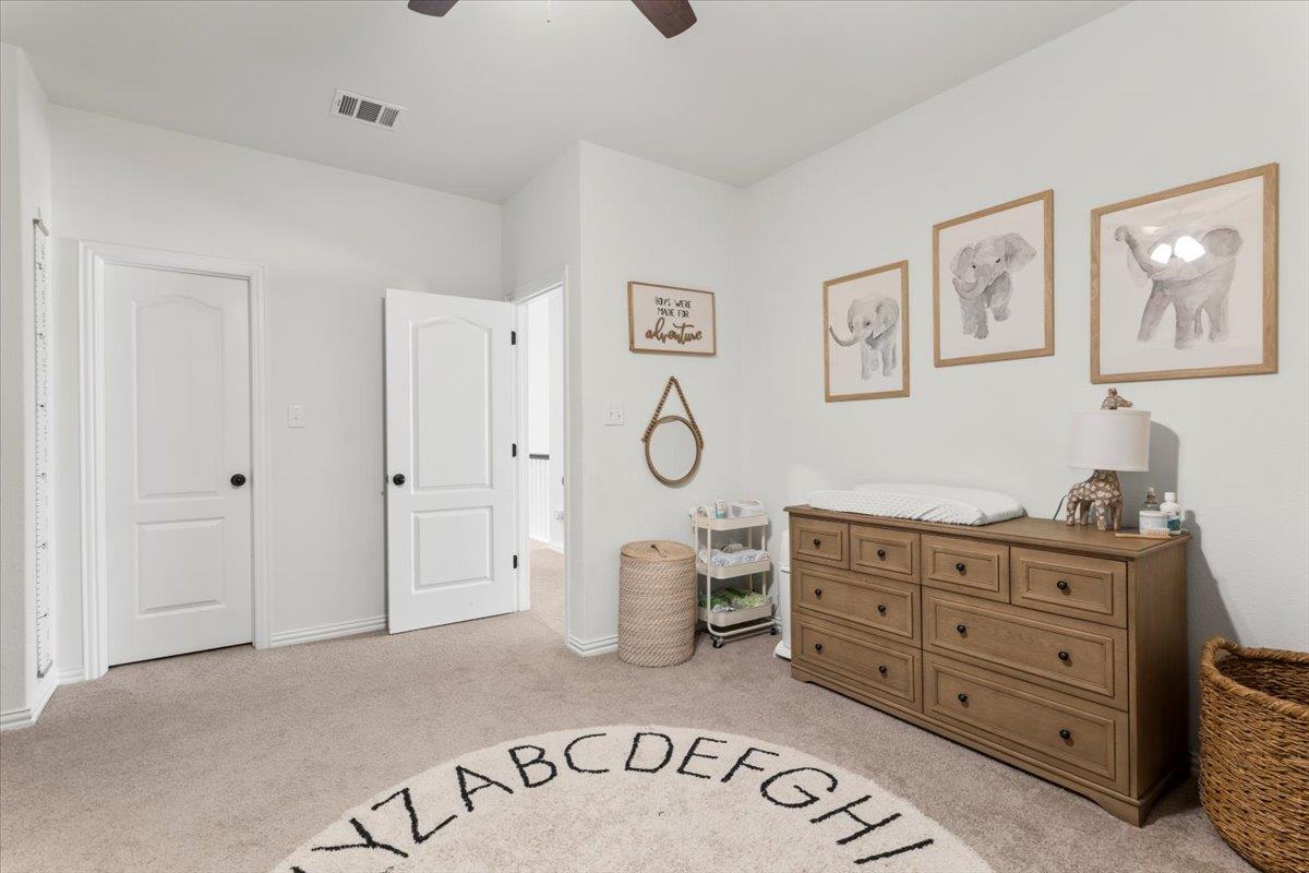 6401 Golden Bough LN, Pflugerville