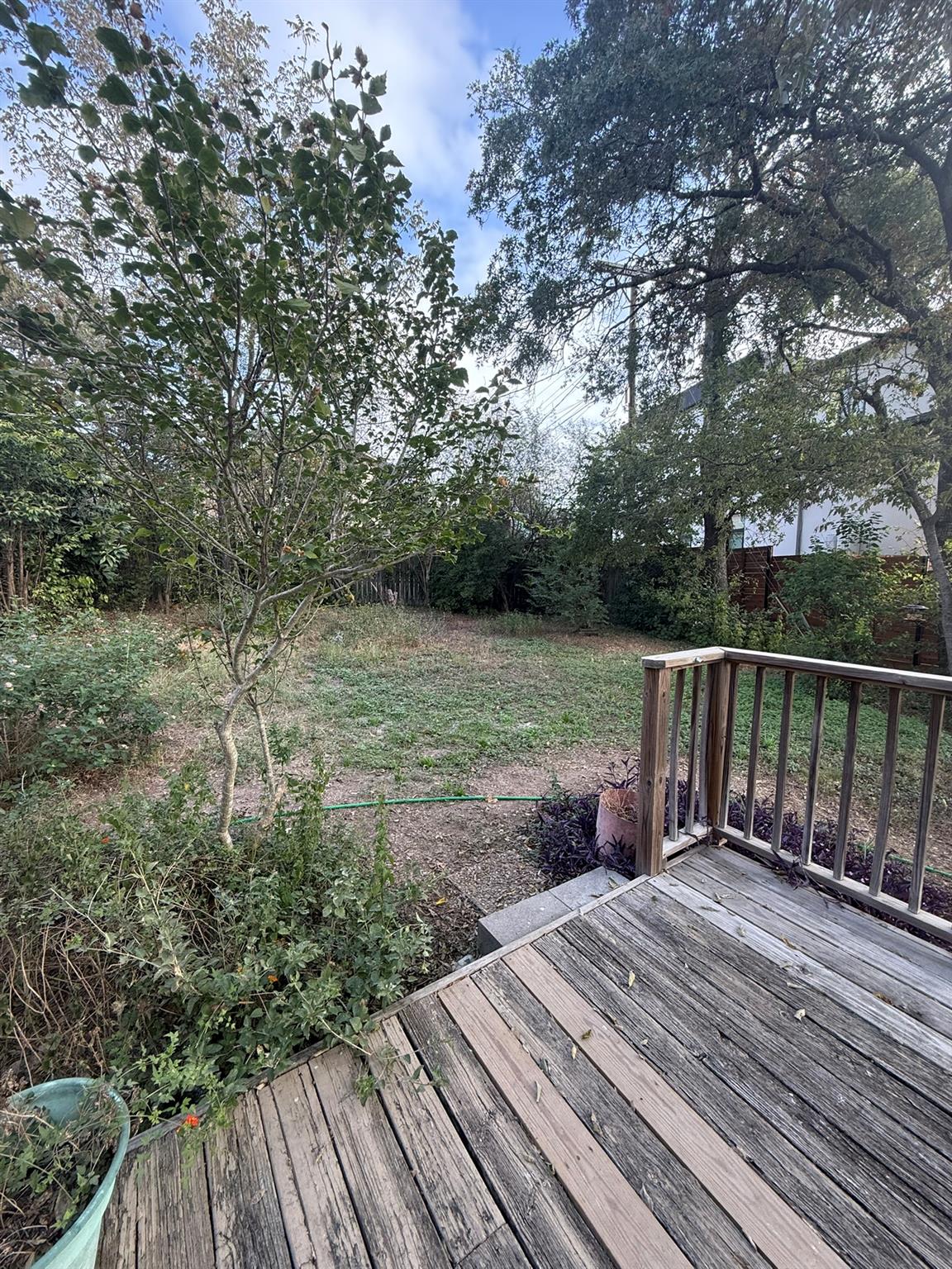 203 Blue Ridge TRL, Austin