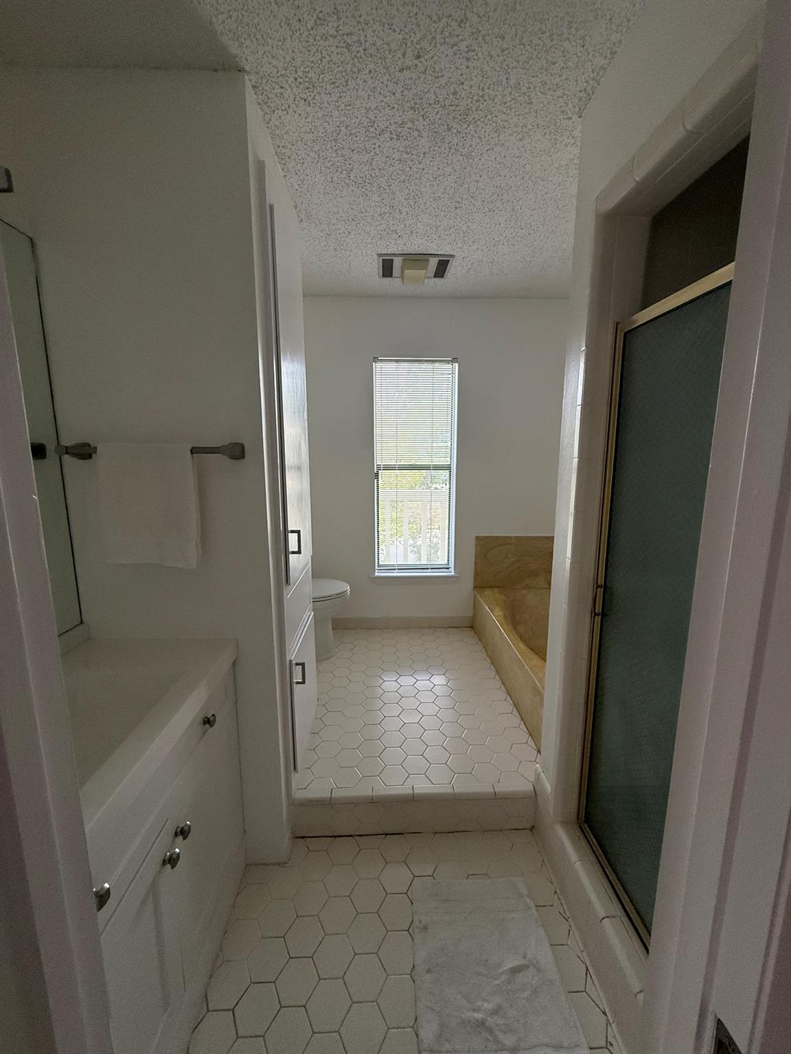 203 Blue Ridge TRL, Austin