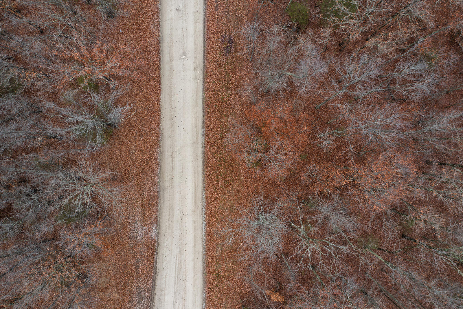 Lot #23 Wyldewood Ridge