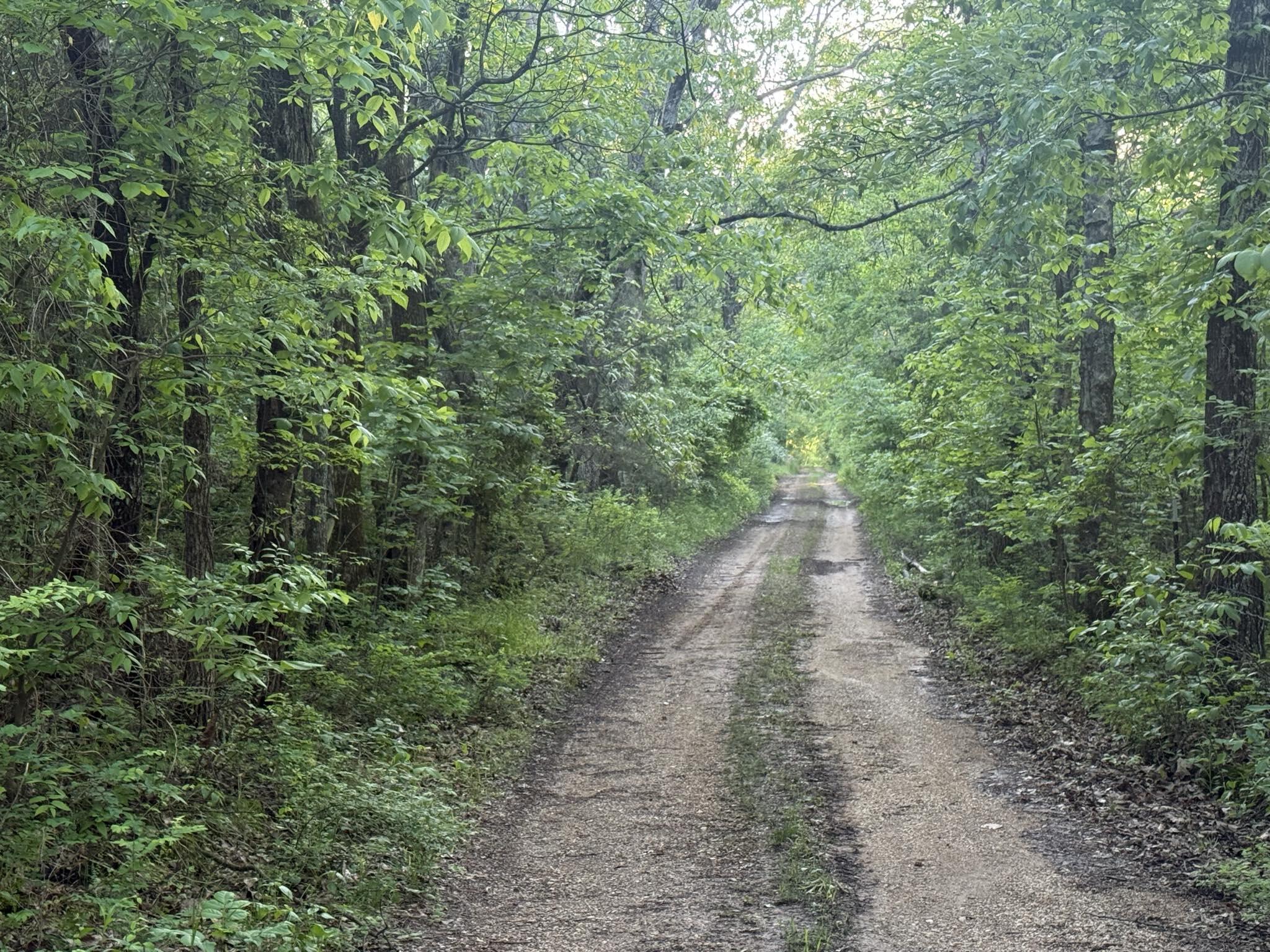 1055 County Road 203