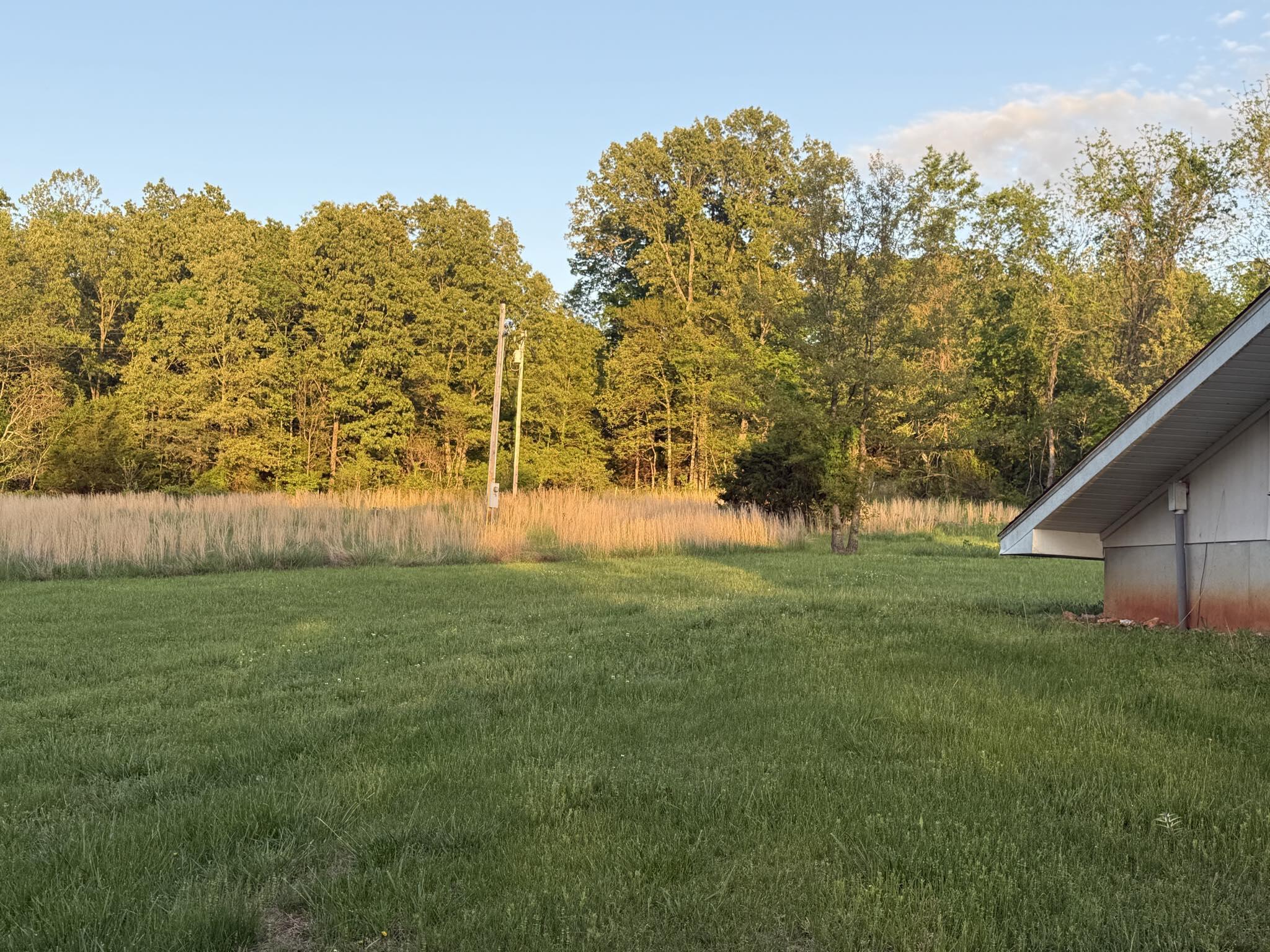 1055 County Road 203