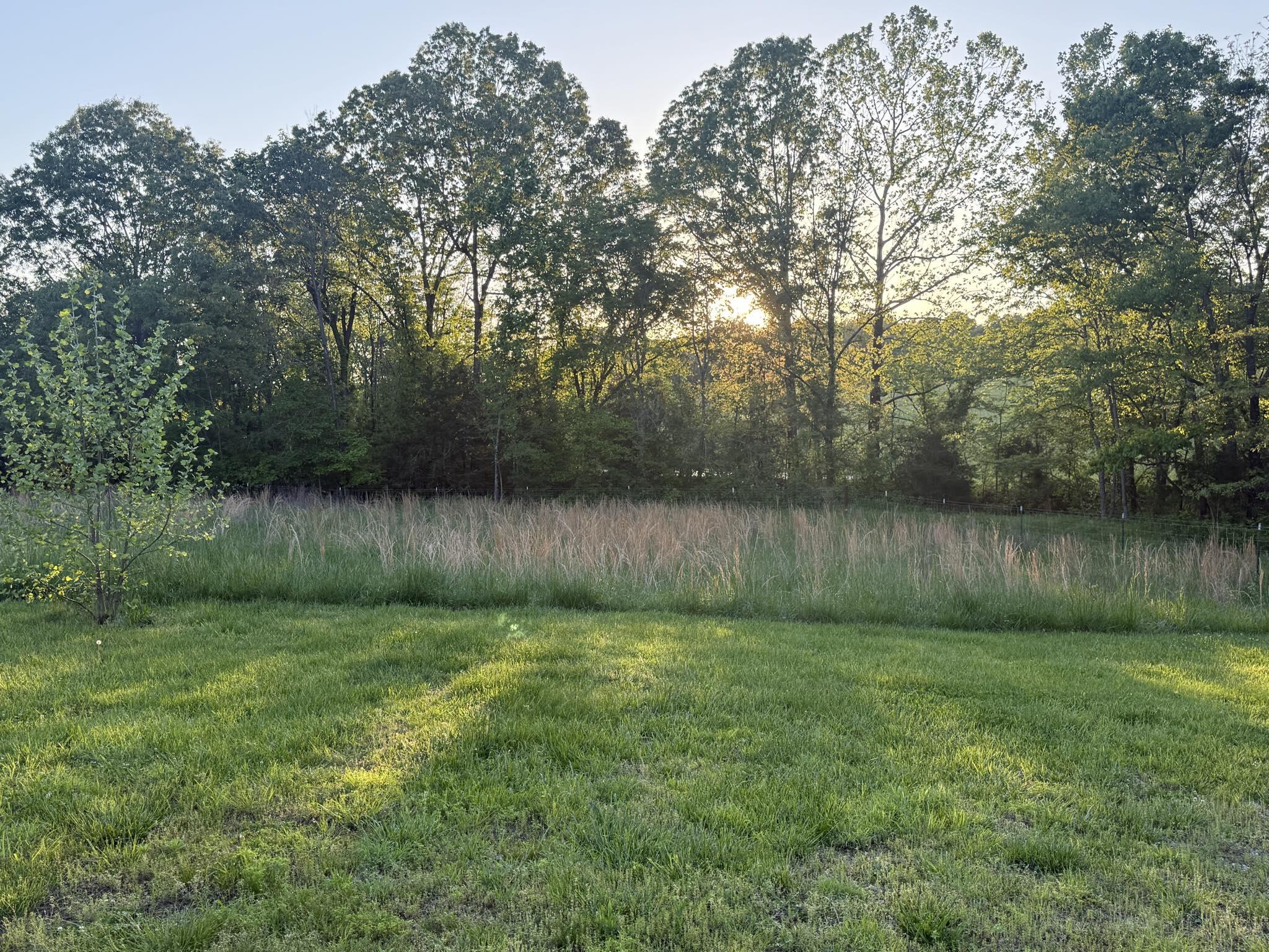 1055 County Road 203