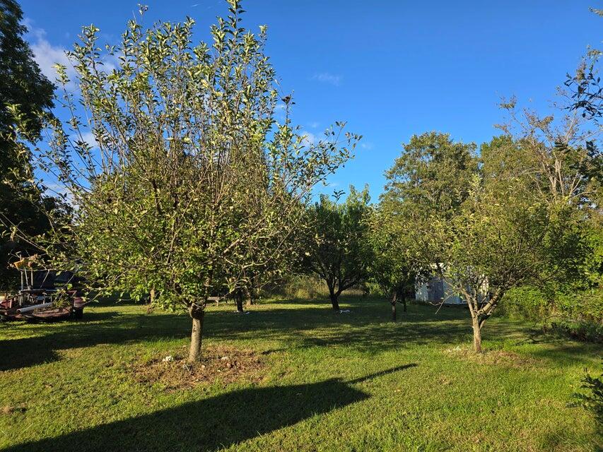 3590 County Road 7140