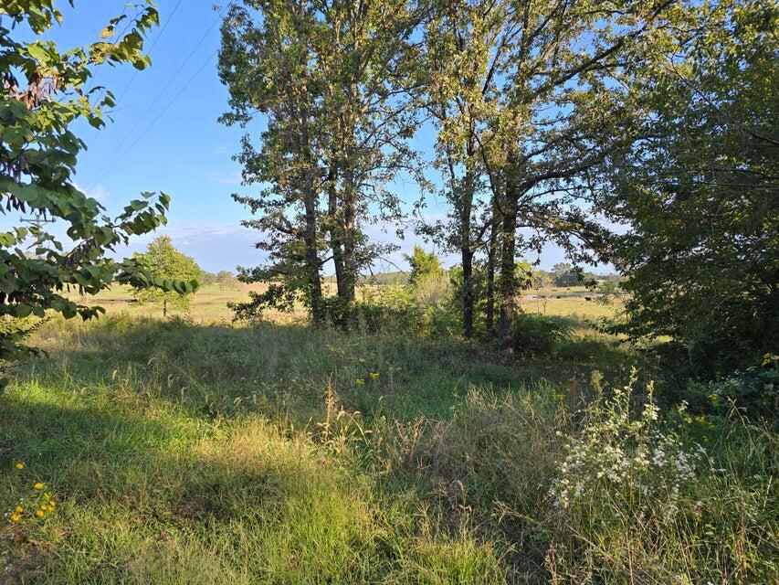 3590 County Road 7140