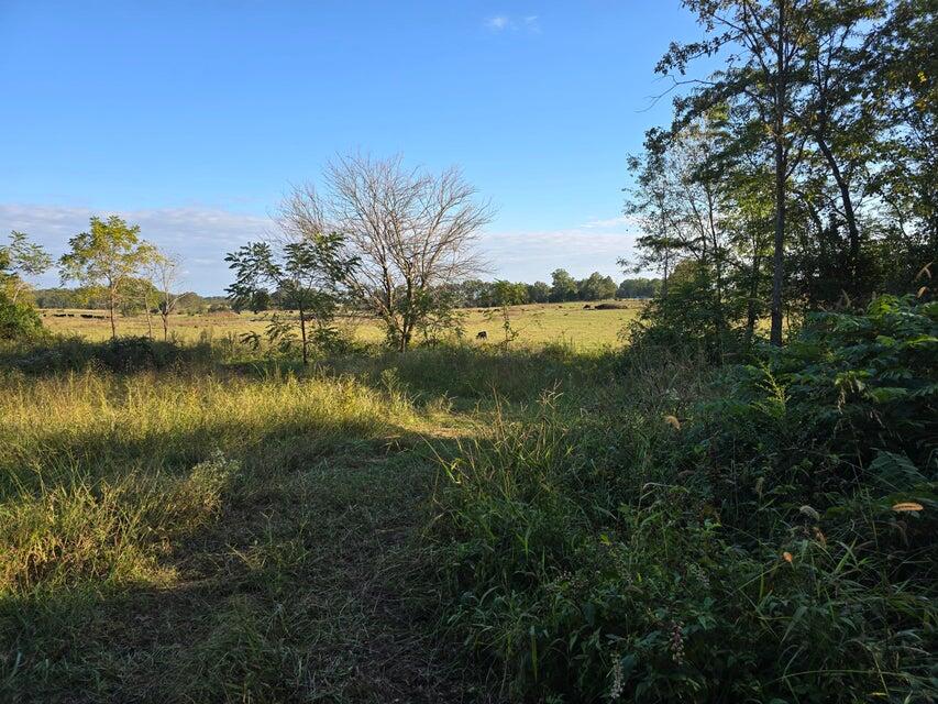 3590 County Road 7140