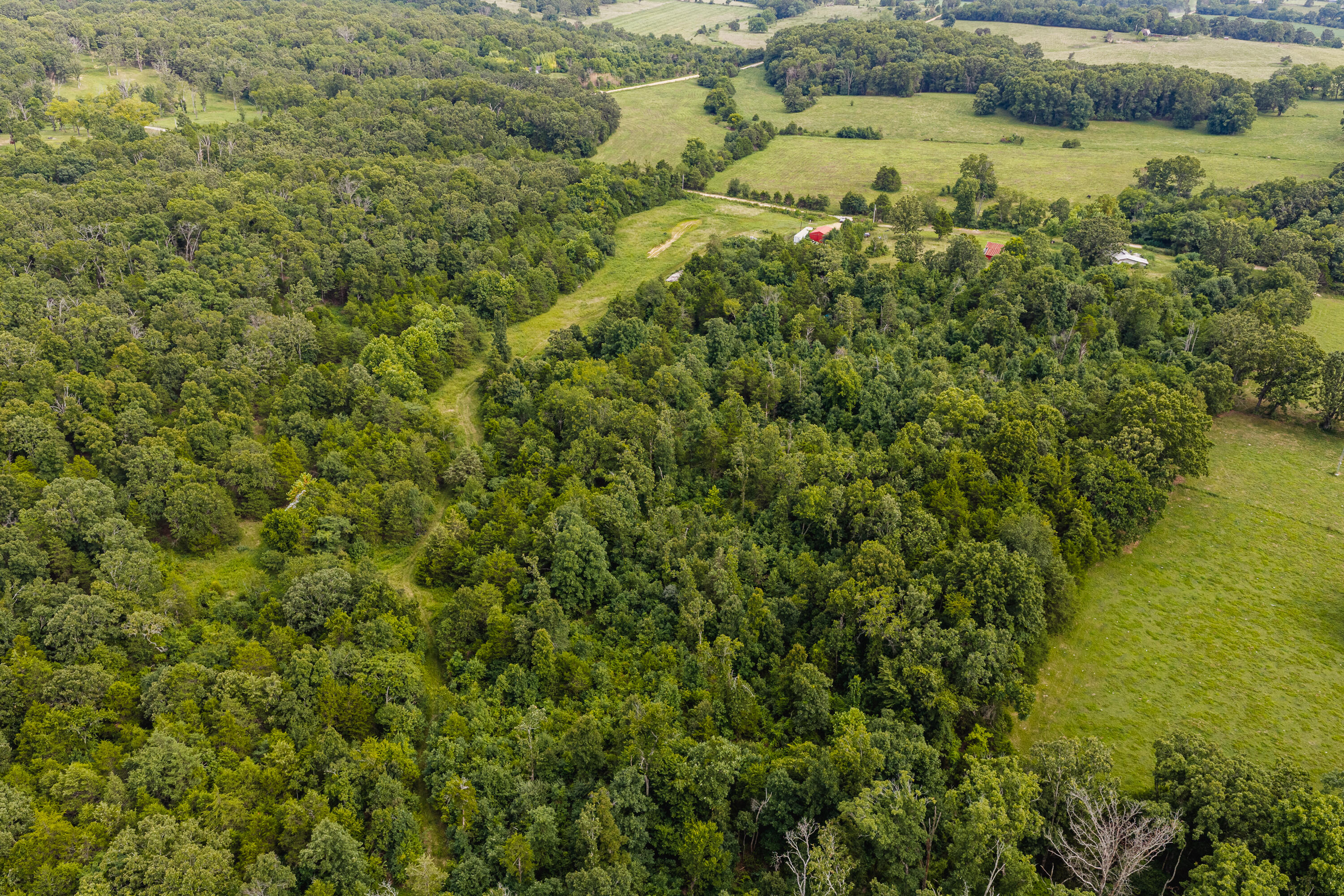 7121 County Road 1460