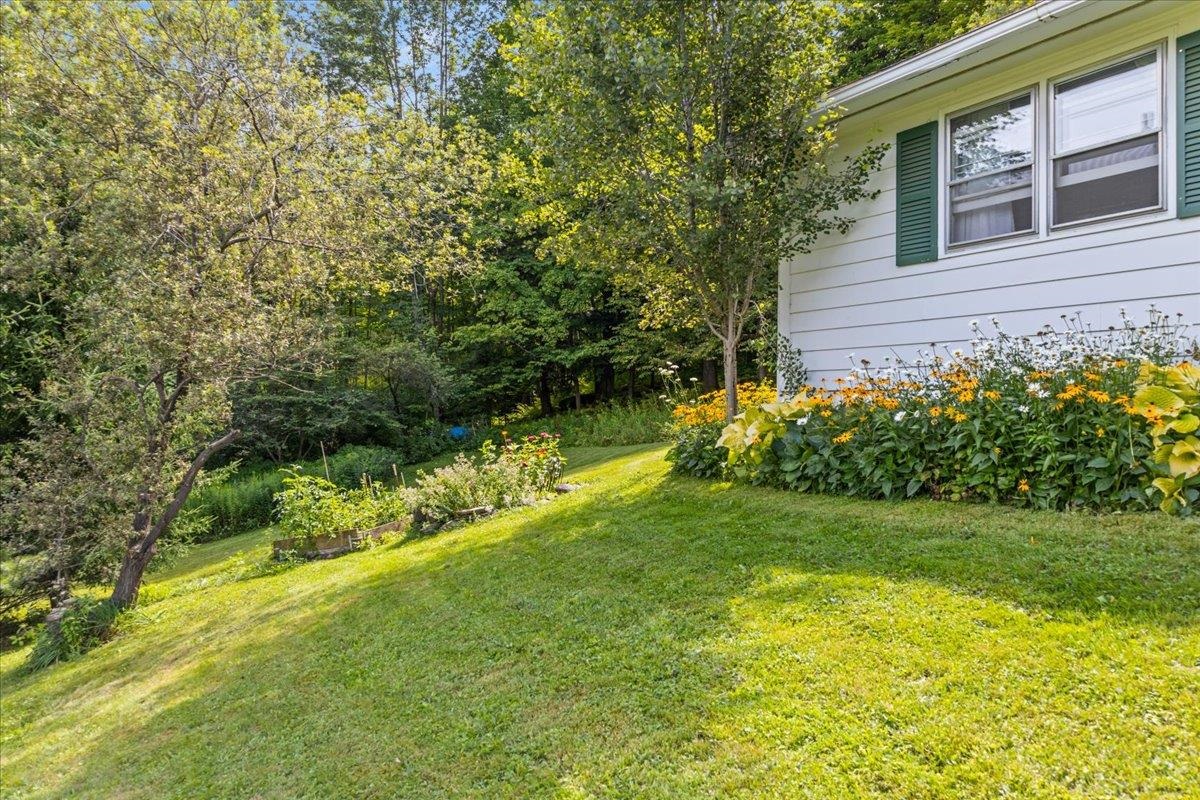 3212 Stowe Hollow Road