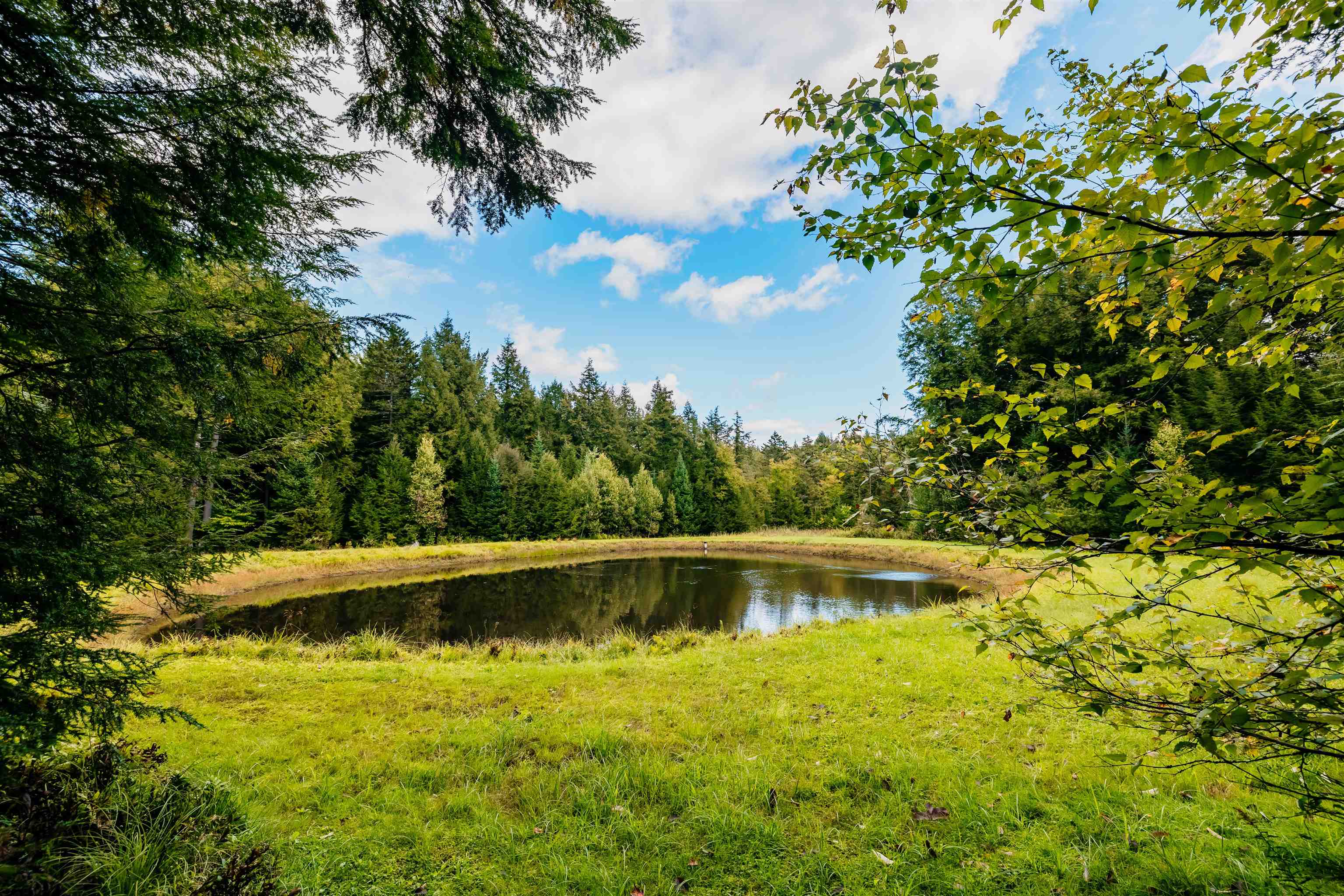 7060 Elmore Mountain Road