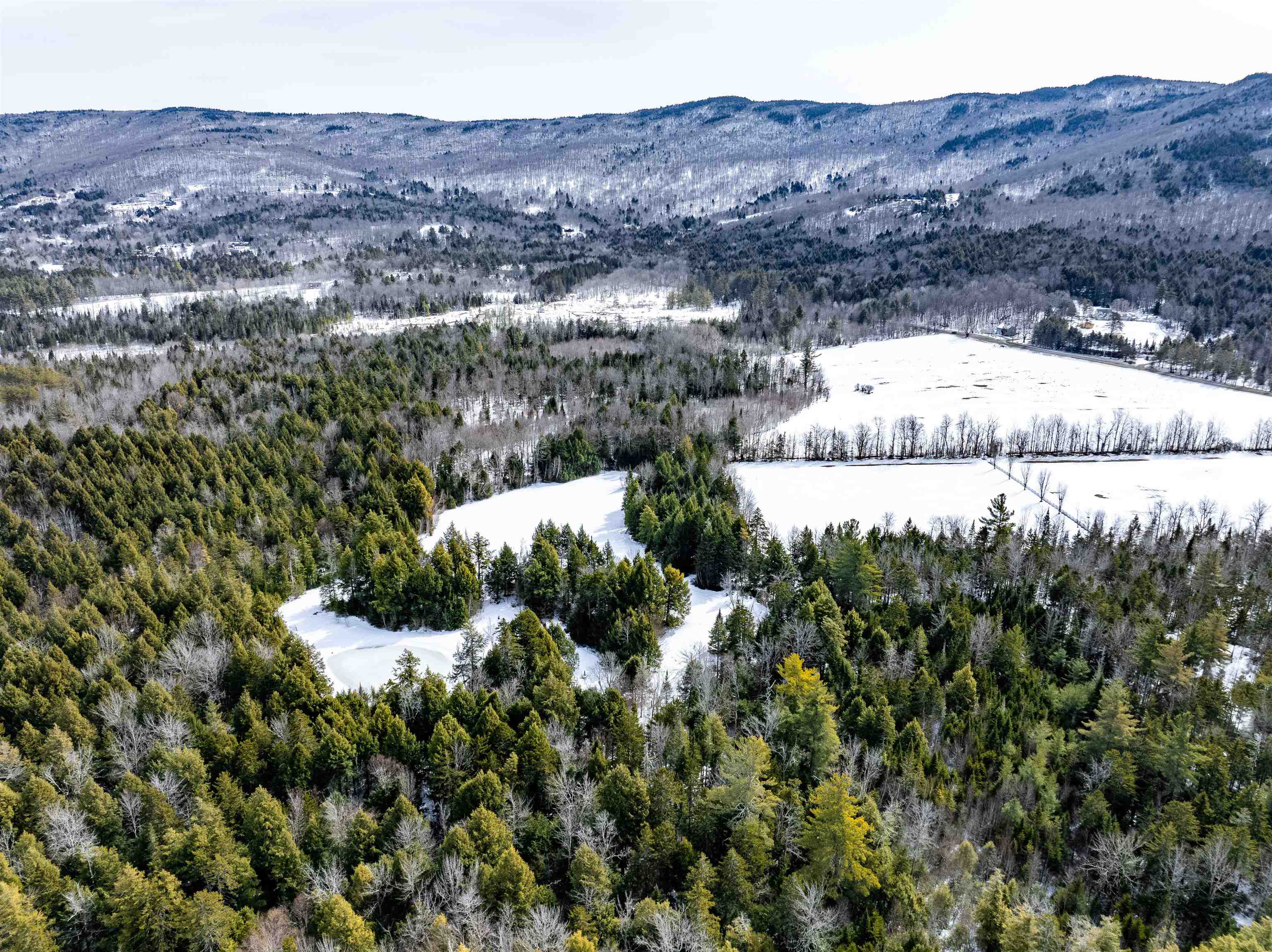 7060 Elmore Mountain Road