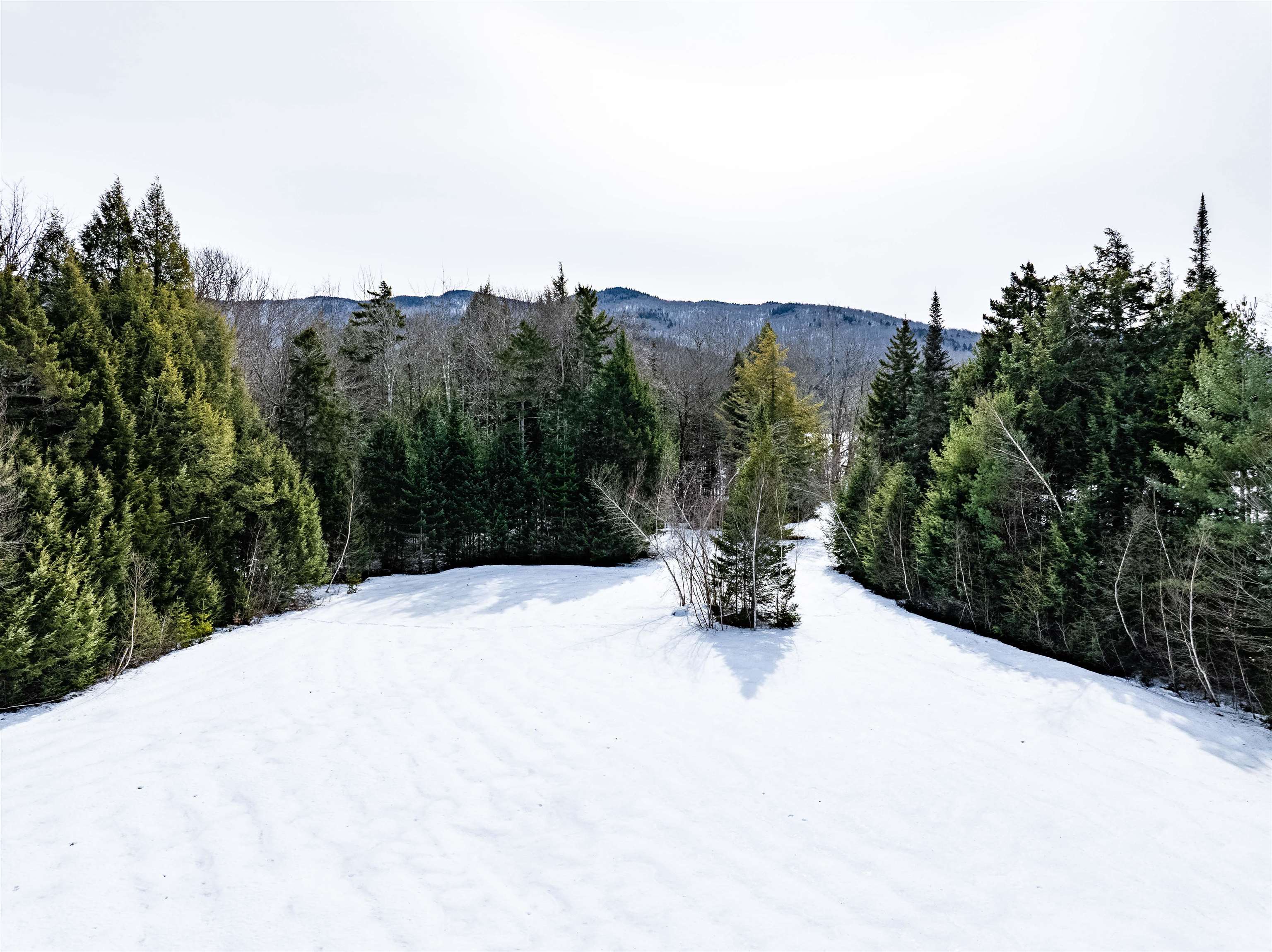 7060 Elmore Mountain Road