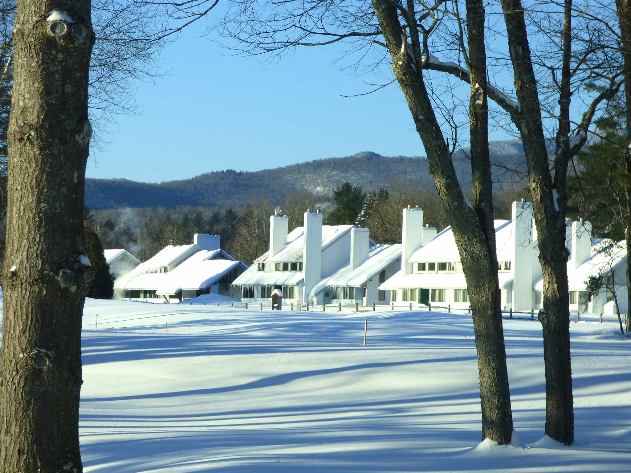 90 Village Green Drive Unit: 1C