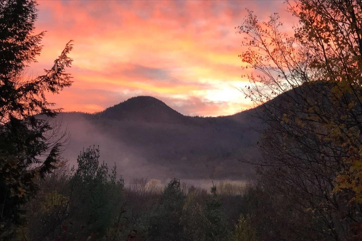 1444 Upper Hollow Road