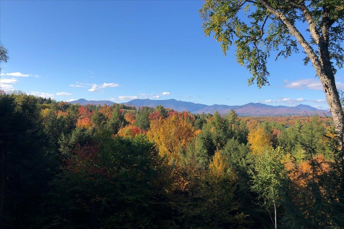 1444 Upper Hollow Road