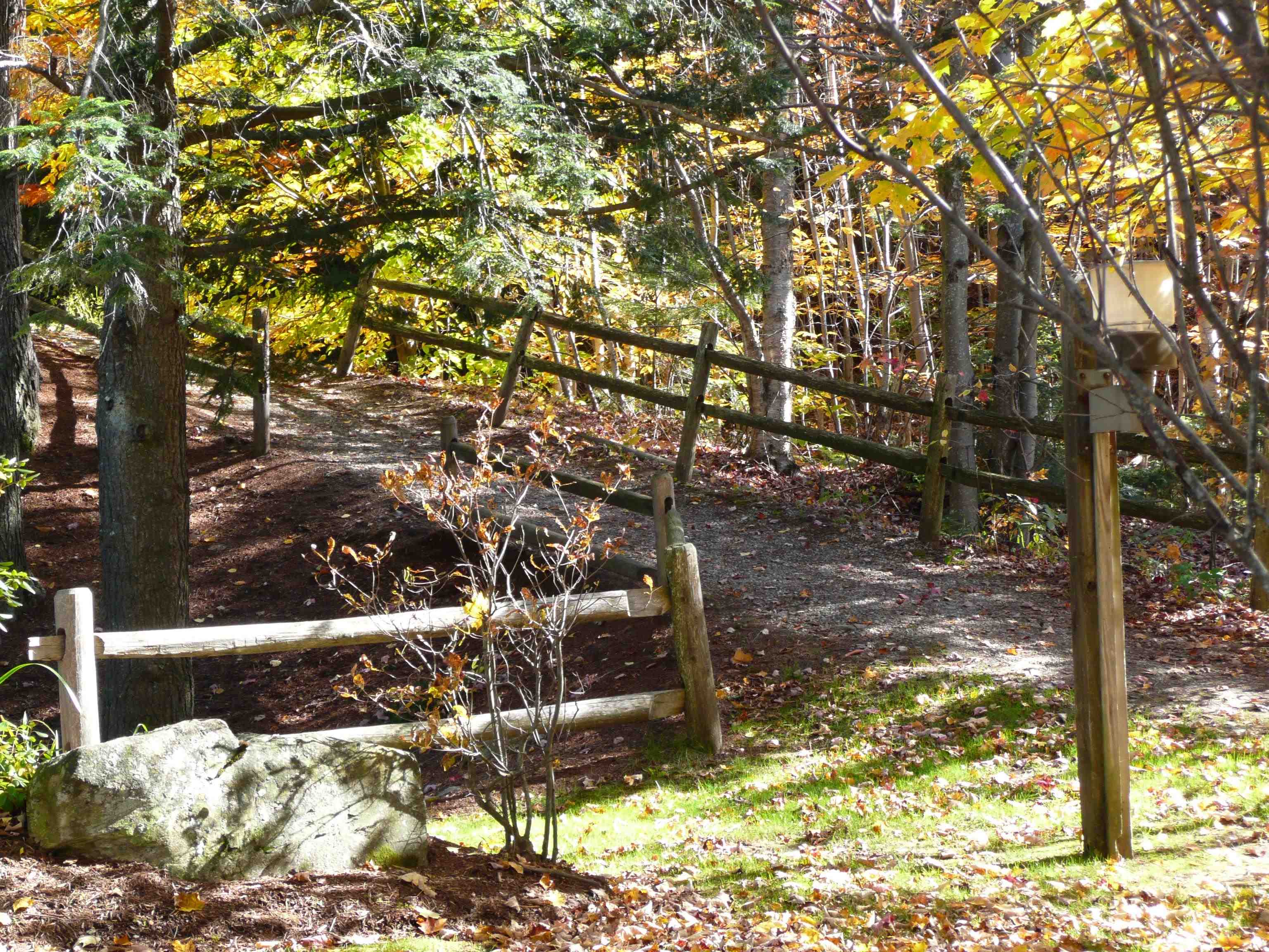 608B Topnotch Road Unit: 608B