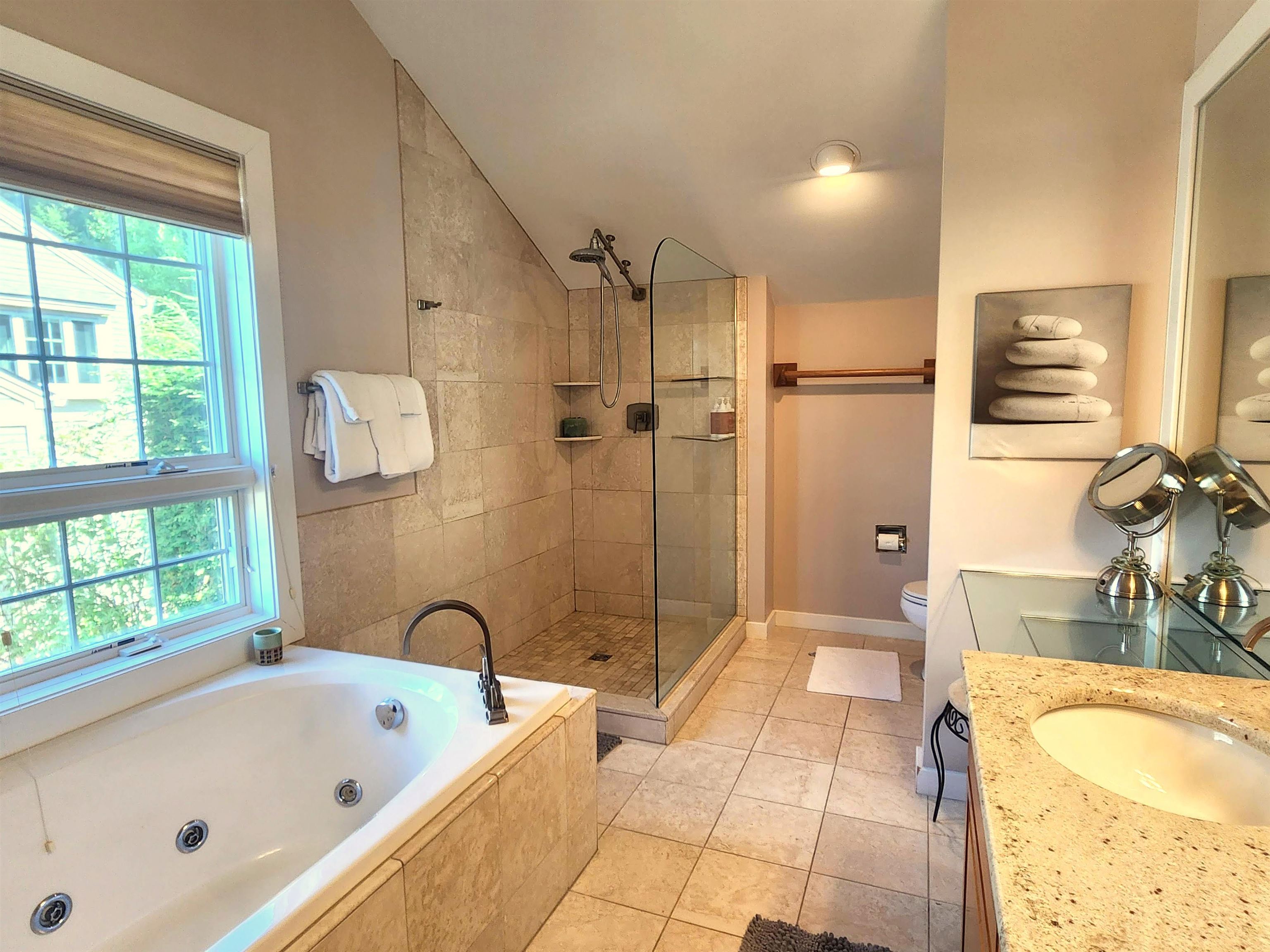 608B Topnotch Road Unit: 608B