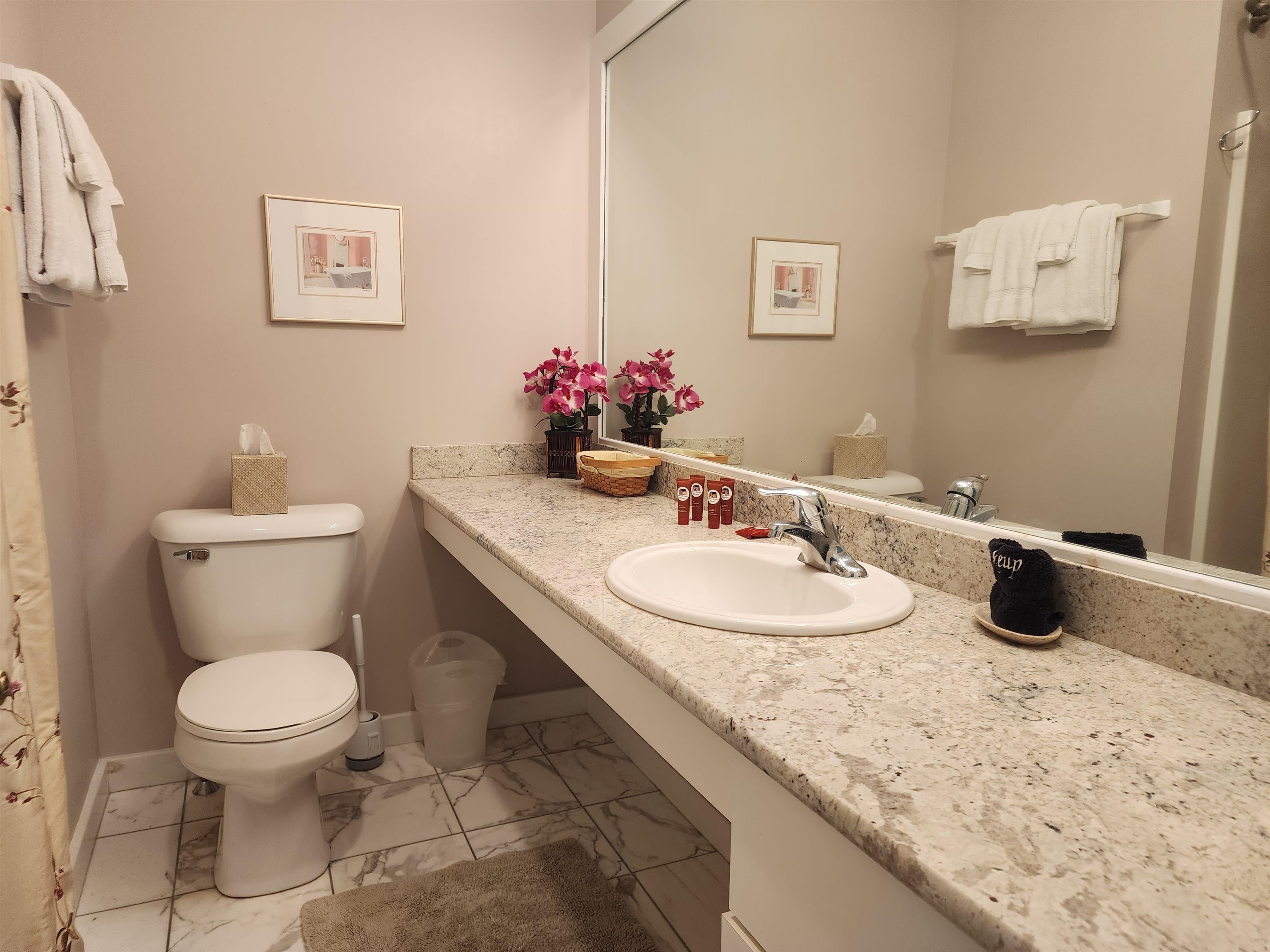608B Topnotch Road Unit: 608B