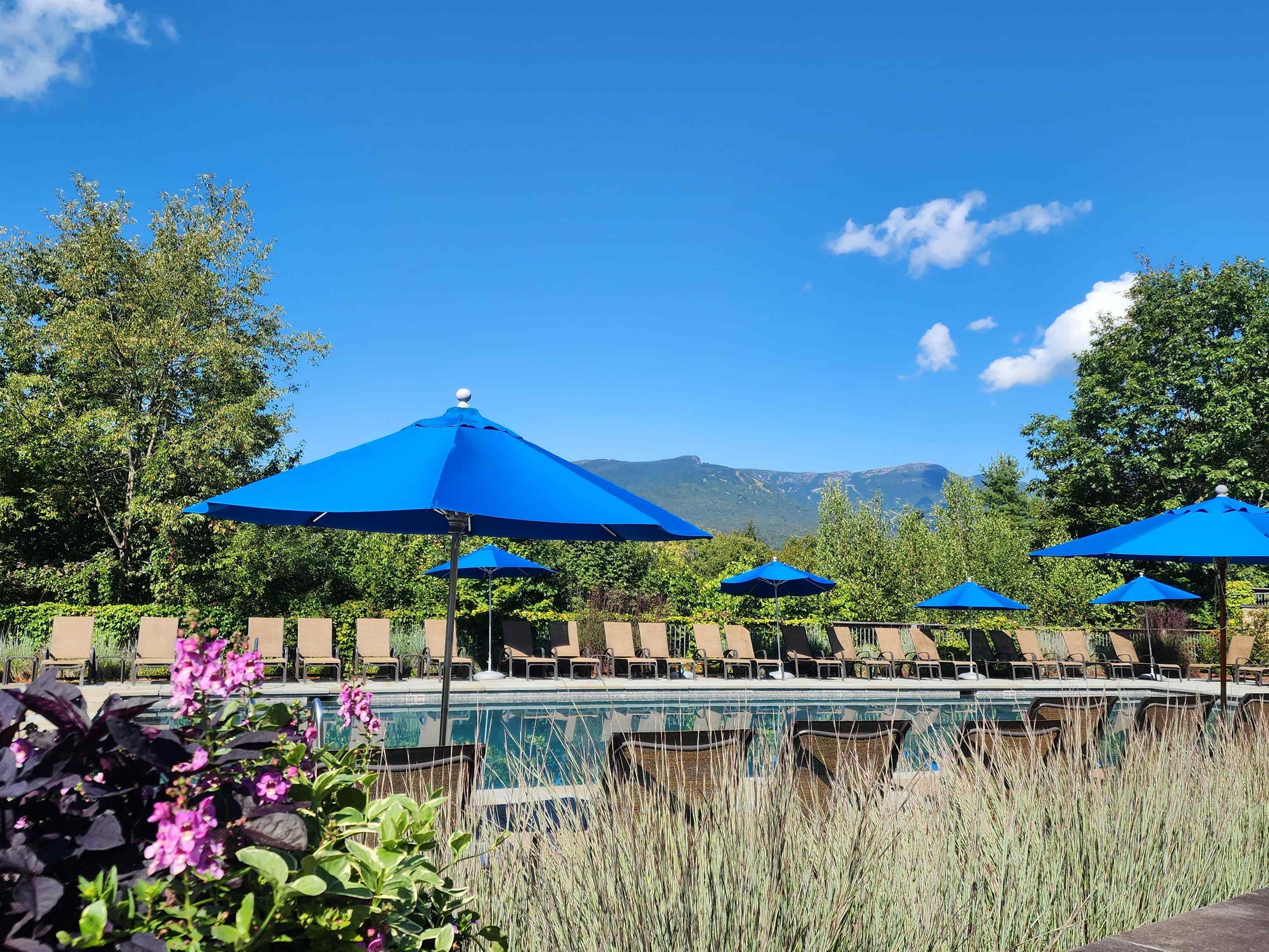 608B Topnotch Road Unit: 608B