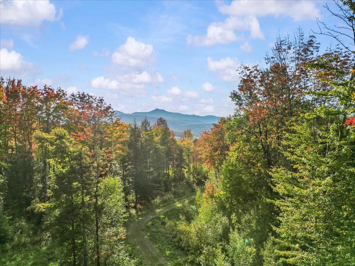 00 Bear Creek Lane