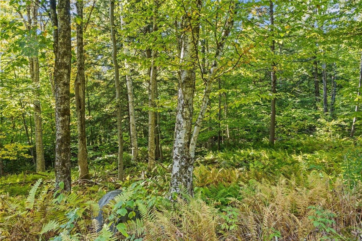 00 Bear Creek Lane