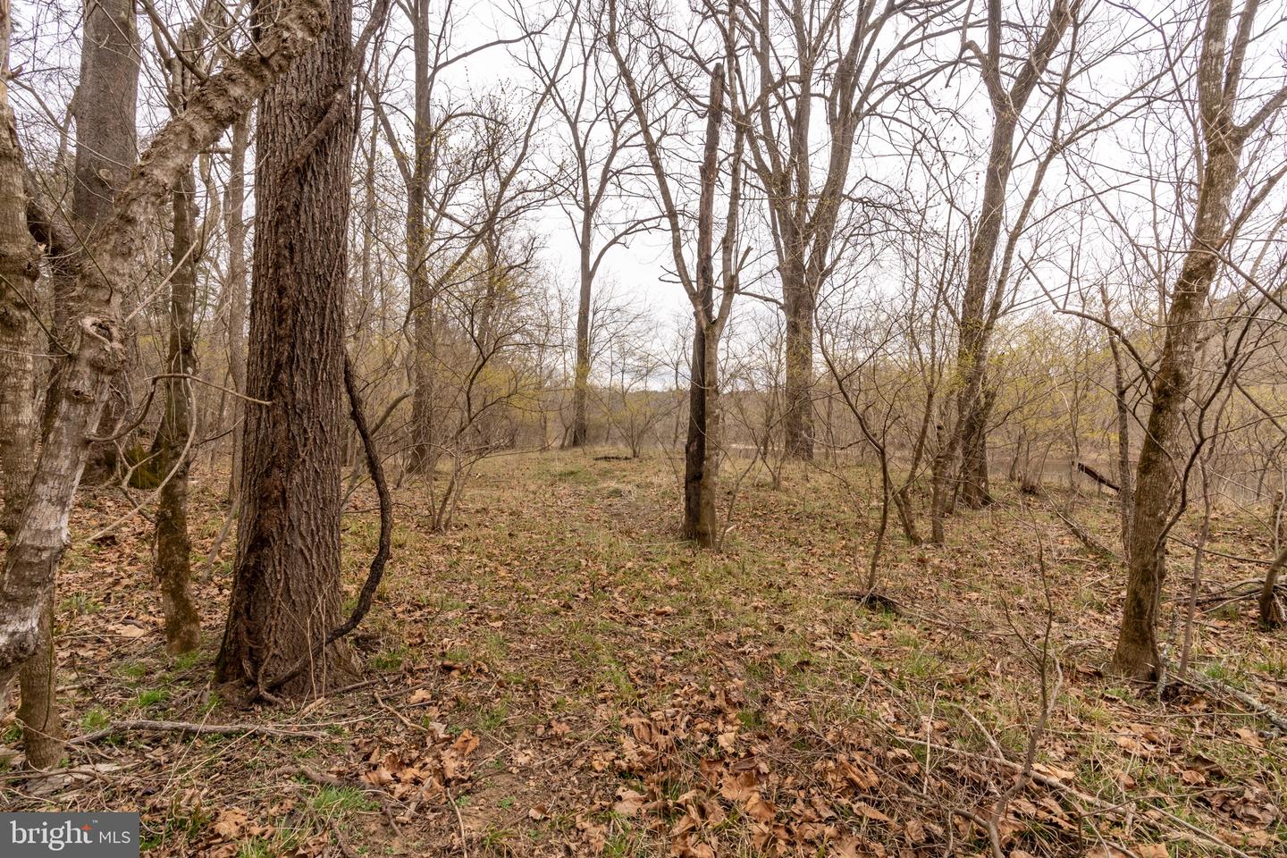 Lot 9A Page Valley Rd