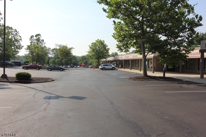 431 Route 22 East Suite 7