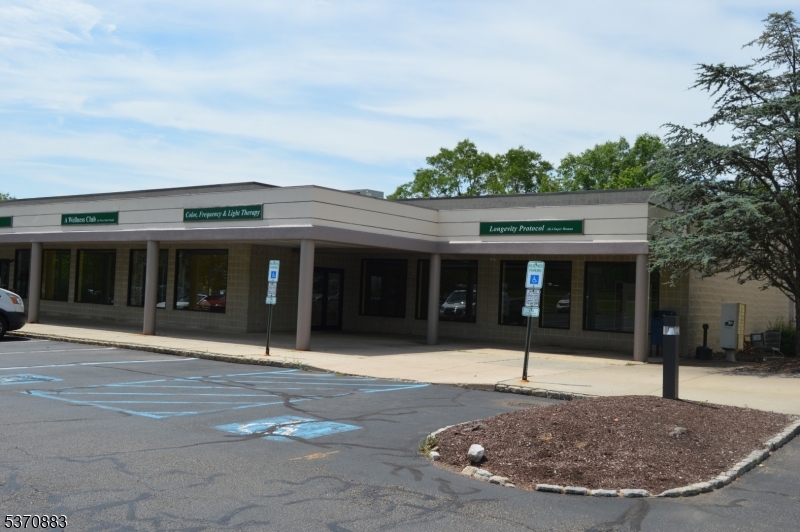 431 Route 22 East Suite 7