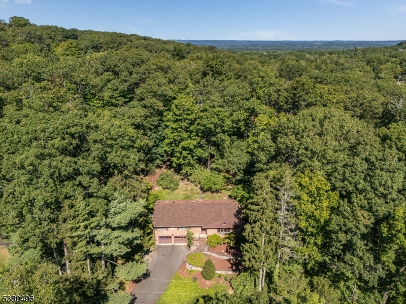 1297 Hemlock Dr