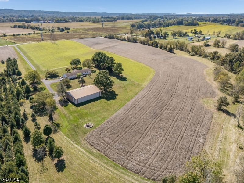14 ROSEMONT-RINGOES ROAD