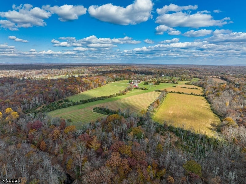 259 COUNTY ROAD 519