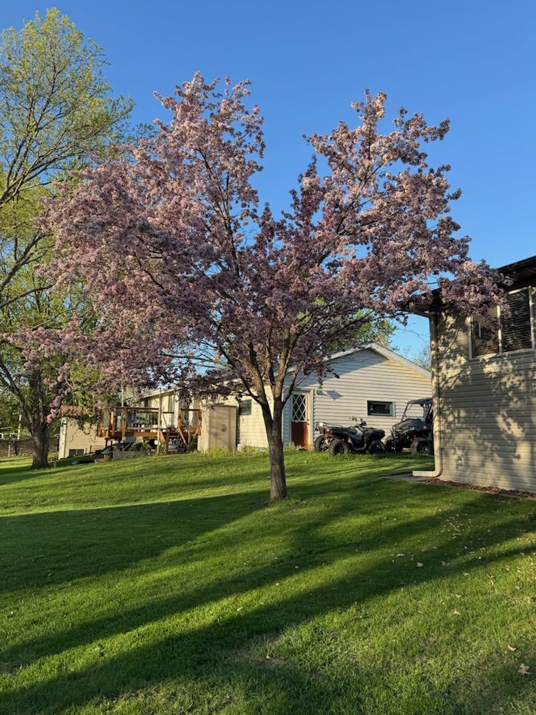 898 Maple Drive