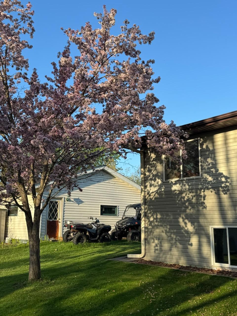 898 Maple Drive