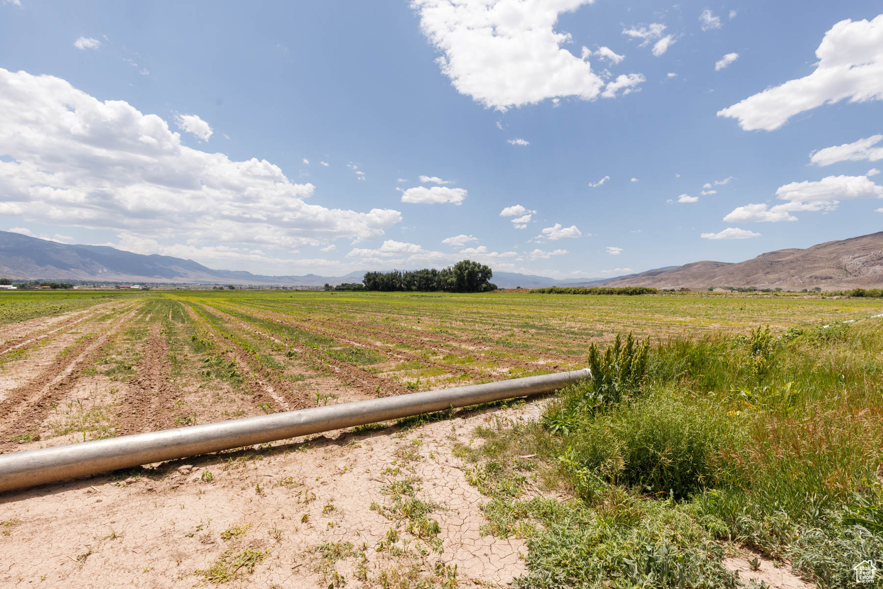 Elsinore