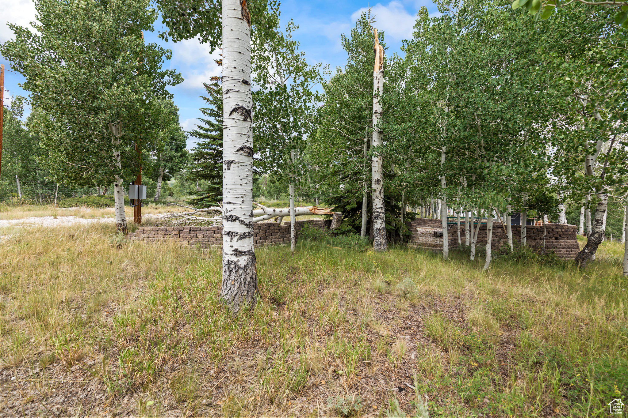 Fish Lake